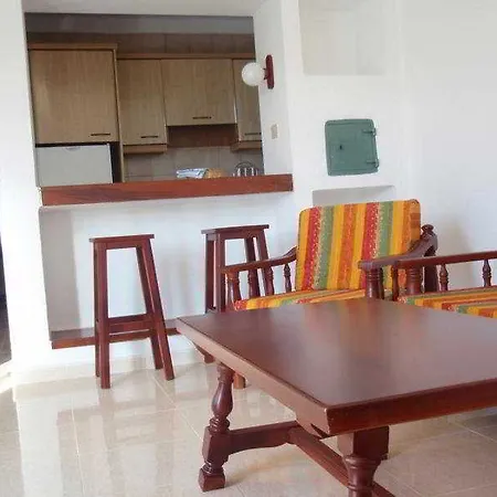 Palmeras I Puerto del Carmen (Lanzarote)